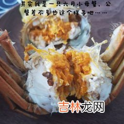 大闸蟹几月份最好吃,大闸蟹什么季节吃最好