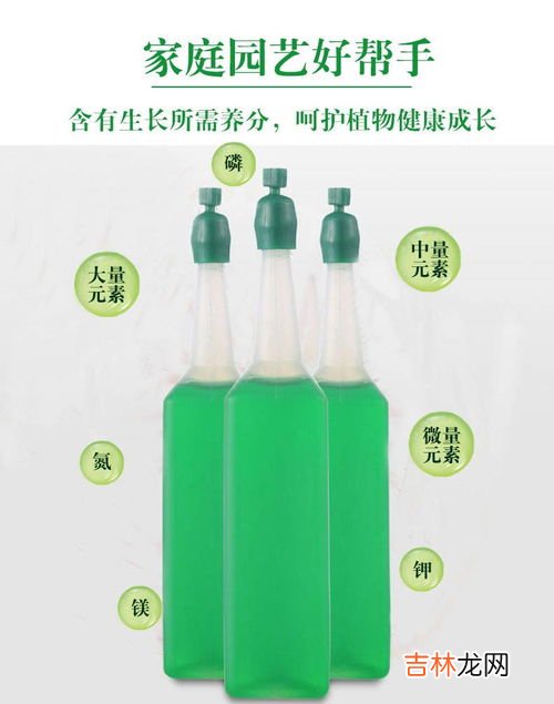 在家用什么代替营养液,用什么可以代替营养液