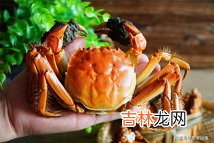 螃蟹蒸多久最佳,螃蟹蒸几分钟最佳时间