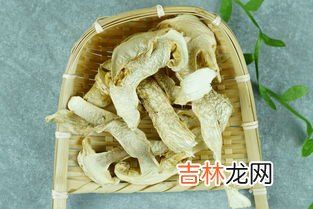 干松茸菌的功效和吃法,松茸菌的食用方法 松茸菌的食用方法是什么