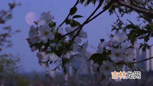 日为朝月为暮,日为朝，月为暮，卿为朝朝暮暮怎么翻译？