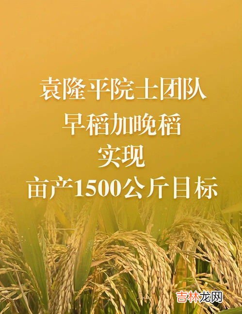 双季稻是指早稻和晚稻吗,我国有哪些水稻种植季节?