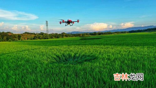 双季稻是指早稻和晚稻吗,我国有哪些水稻种植季节?