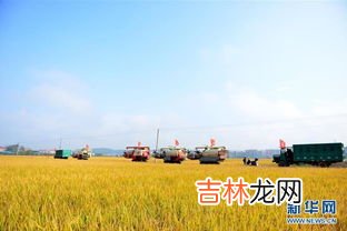 双季稻是指早稻和晚稻吗,我国有哪些水稻种植季节?