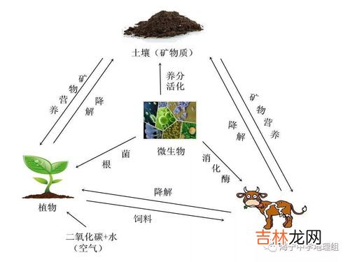 水循环的意义,水循环的意义是什么？