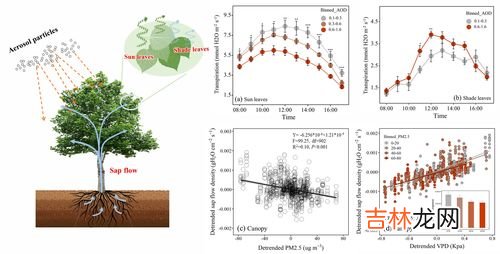水循环的意义,水循环的意义是什么?