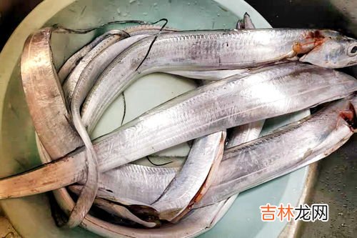 新鲜带鱼放冰箱怎么保鲜,新鲜鱼怎么保存冰箱