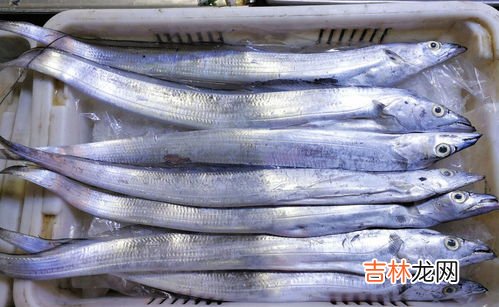 新鲜带鱼放冰箱怎么保鲜,新鲜鱼怎么保存冰箱