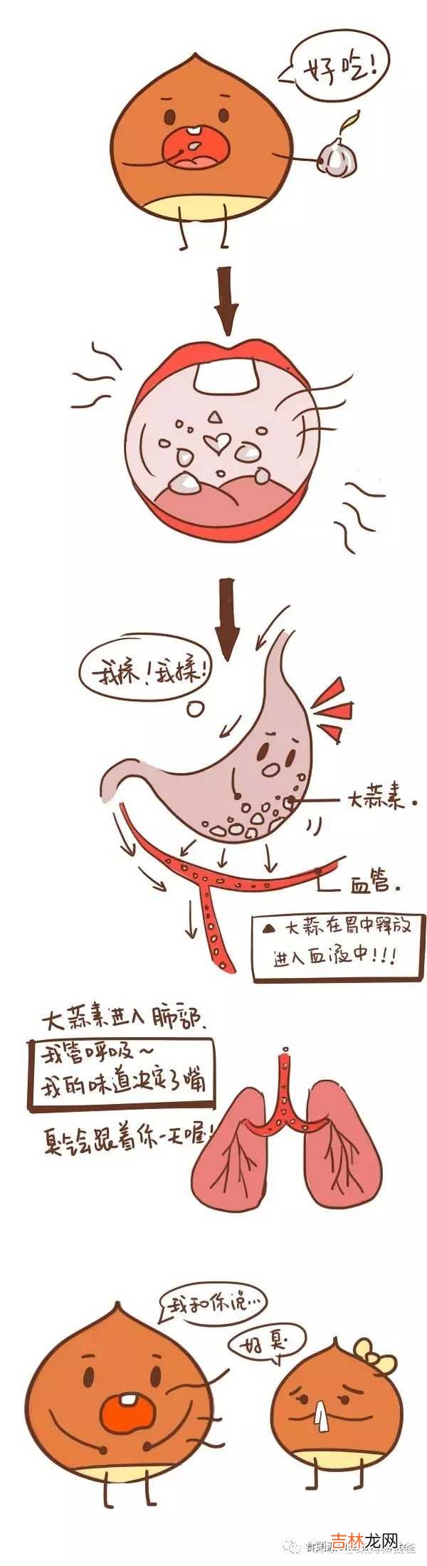 怎么快速去大蒜味,快速去除蒜味