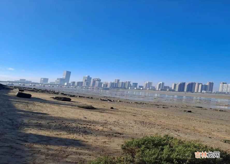 医生 我，80后女孩，从小被人骂“绝户”，靠自己在南方打拼出一片天地