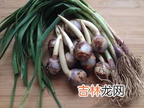 茨菇怎么去皮,茨菇怎么去皮 茨菇去皮的方法介绍