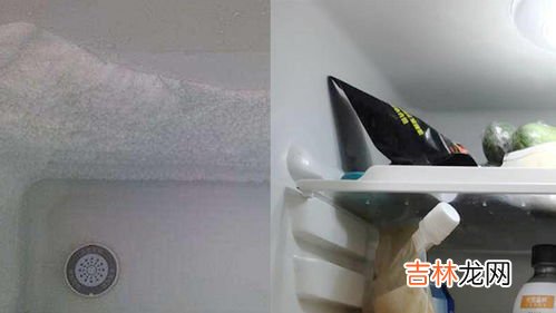 冷藏和冷冻的区别是什么,冰箱冷藏和冷冻的区别,