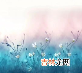 顺其自然是谁,顺其自然,以柔克刚是指谁