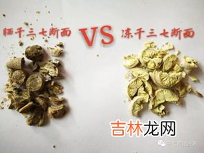 冻干三七和三七的区别,云南满泽冻干三七买哪种，三七粉和冻干三七粉有什么区别？