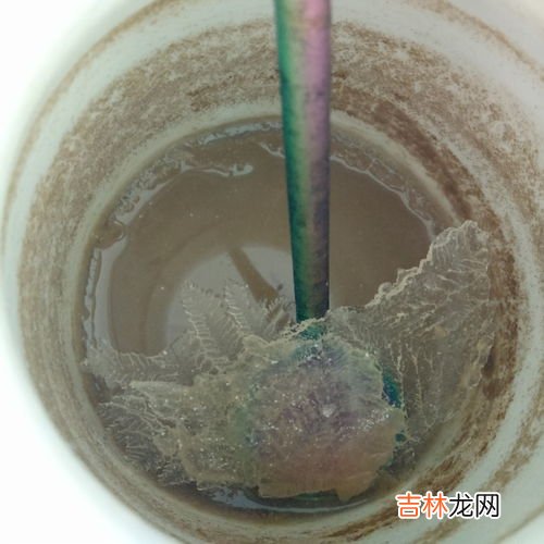 鸡蛋在零下怕冻吗,鸡蛋在零下10度能冻坏吗