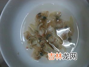 毛贝怎么清洗,活毛贝怎么处理 活毛贝如何处理
