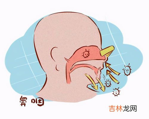 鼻毛拔了还会长吗,鼻毛太长拔了还会再长吗