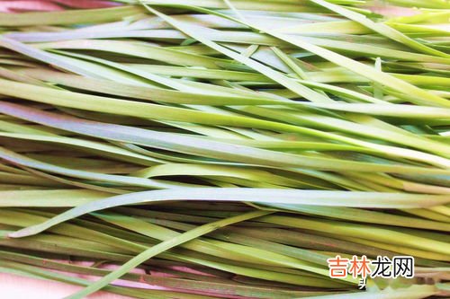 韭菜怎样保存不容易坏,韭菜怎么保鲜储藏