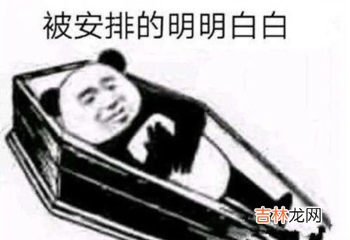 集美什么梗,集美是什么意思