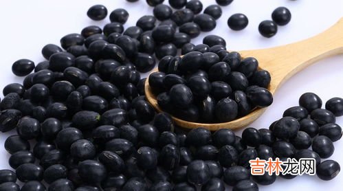黑豆的禁忌,黑豆有什么食用禁忌吗?这些知识一定要知道