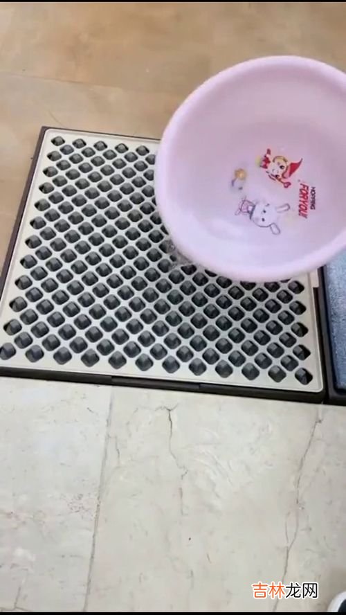 门垫清洗窍门,电冰箱门封条发霉了怎么洗?