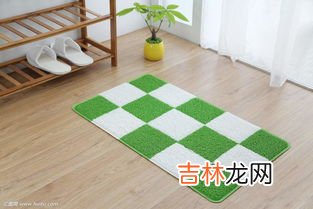 门垫清洗窍门,电冰箱门封条发霉了怎么洗?