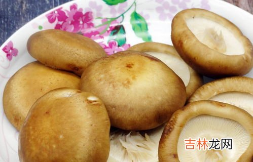 香菇隔夜有毒吗,香菇可以过夜吃么