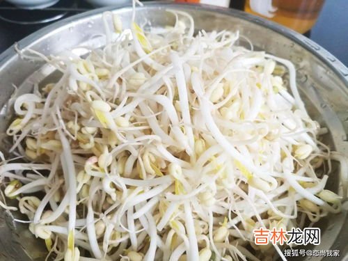 巧生豆芽不长须根法,怎样生豆芽不长根?