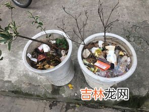 瓷花盆属于什么垃圾,破碎陶瓷花盆应放入什么颜色的垃圾桶内?