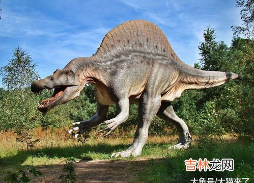 恐龙是怎么消失的,恐龙是怎么灭绝的?