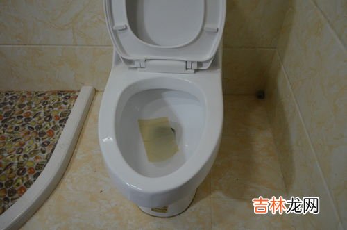 鞋刷掉进马桶怎样取出,鞋刷掉进蹲厕怎样取出