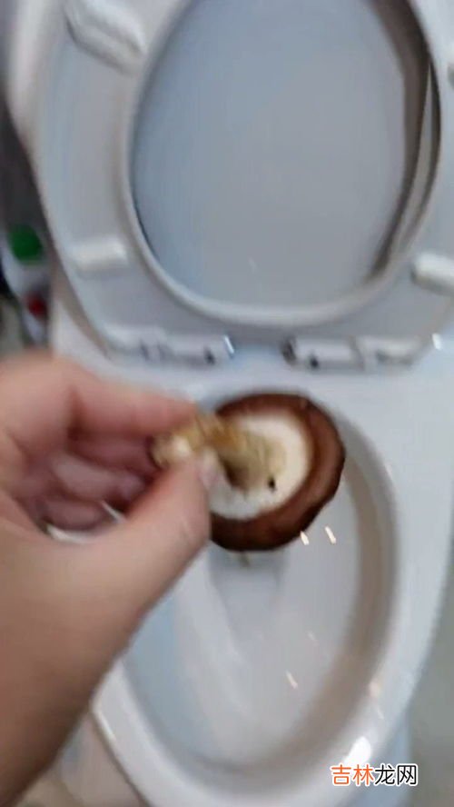 鞋刷掉进马桶怎样取出,鞋刷掉进蹲厕怎样取出