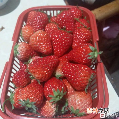 橘子和草莓能一起吃吗,草莓和橘子可以一起榨汁吗