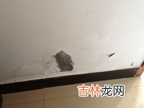 墙面为什么潮湿,墙面湿了是什么原因？