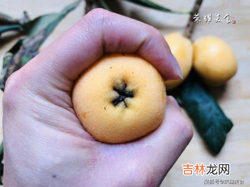 琵琶皮能吃么,枇杷可以直接吃吗 枇杷的皮能吃吗