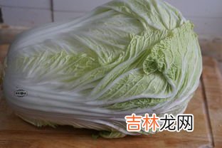 夏天饺子皮怎么保存不干,饺子皮怎么保鲜 饺子皮怎么保鲜的方法