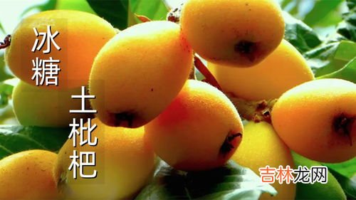 枇杷怎样保存久一点,枇杷怎么保存时间长