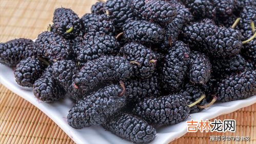 桑葚吃不完用什么办法保存,桑葚长期储存的方法