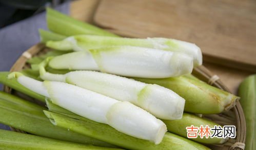 茭白是什么植物,茭白是什么