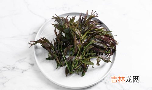 刺菜的功效和作用禁忌,刺儿菜是什么?有什么作用吗?