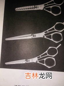 剪刀什么垃圾,废剪刀和电水壶可投放一个垃圾桶内吗?