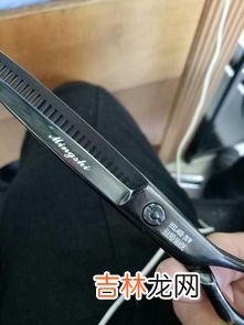 剪刀什么垃圾,废剪刀和电水壶可投放一个垃圾桶内吗?