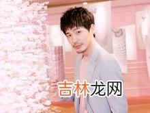 经纪人和助理的区别是什么,经纪人和助理 有什么区别？
