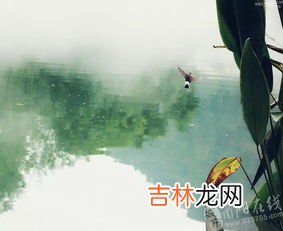 男人说曾经沧海难为水是什么意思,一个男人对一个女人说曾经沧海难为水，到底是想表达什么？