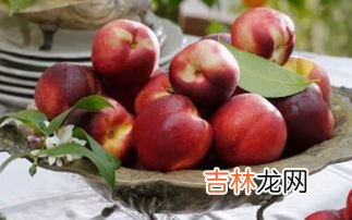 草莓酱的功效与禁忌,草莓有什么功效与作用