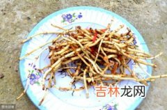 鱼腥草不能和什么一起吃,鱼腥草不能和什么一起吃？