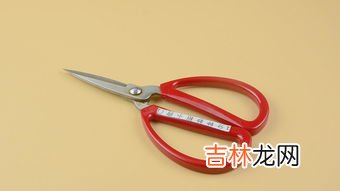 坏了的剪刀扔进哪个垃圾桶,佛山女孩扔剪刀前用海绵包裹怕伤人，尖锐类垃圾在分类中属于哪一种？
