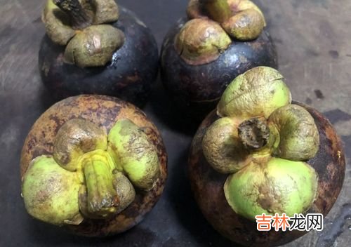 山竹挑选方法妙招,山竹怎么挑选好