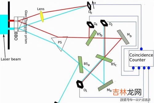 鱼骨图的五个要素分别指什么,鱼骨图是什么