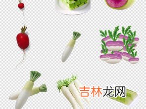 绿萝卜能和胡萝卜一起吃吗,胡萝卜和青萝卜能一起吃吗 胡萝卜和青萝卜可不可以一起吃呢
